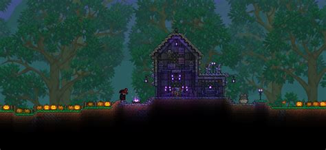 House For The Witch Doctor Rterraria