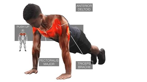 Push Ups How To Use Them To Build Muscle 4 Science Based Tips