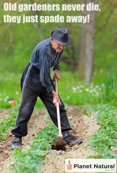 I hope these quotes remind you, too, that love never dies. Old gardeners never die, they just spade away! | Planet ...