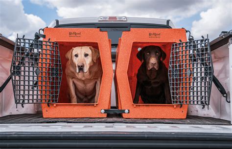 Best Dog Crates For Your Car