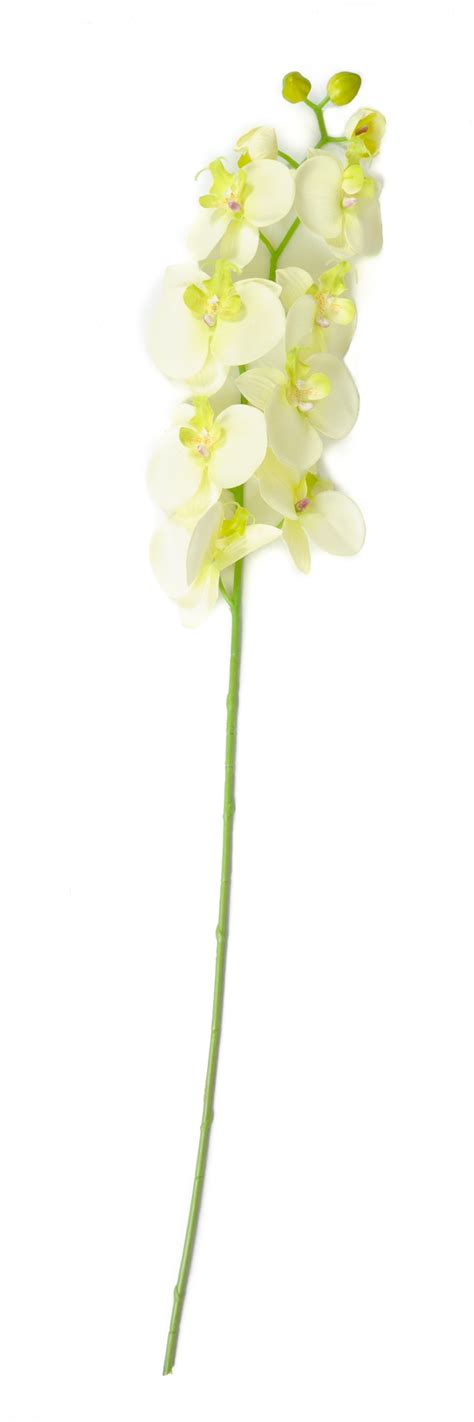 White Long Stem Artificial Orchid Clarence Linen