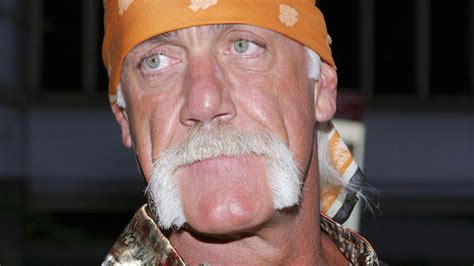 Media Organizations Oppose Hulk Hogans Move To Block The Press From