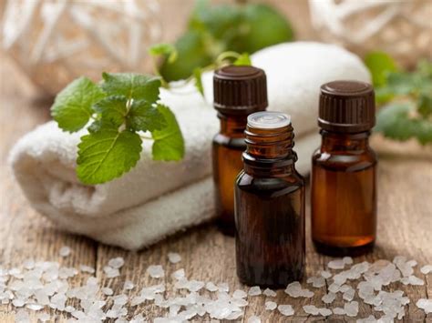 Wellness mama » blog » beauty » 9 nourishing essential oils for hair health & strength. 4 Reasons to Use Peppermint Essential Oil for Healthy Hair ...
