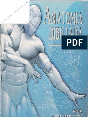 Anatomia Dibujada Anatomy Reference Anatomy Sketches Sketch Book