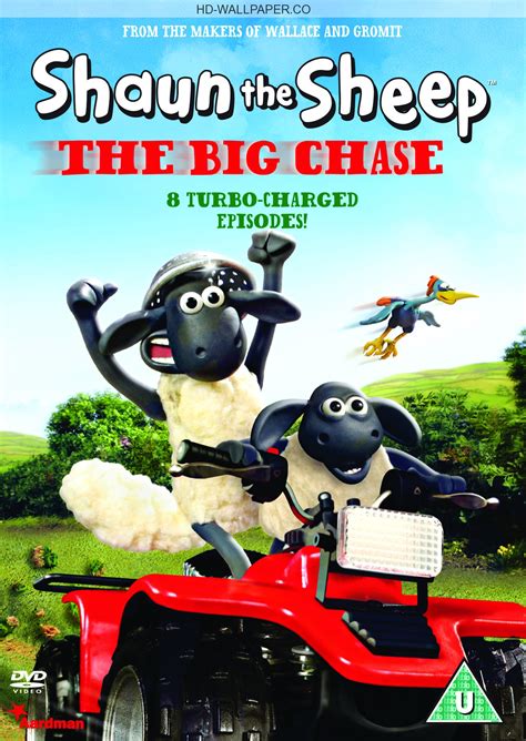 Alle jobs und stellenangebote in bamberg, bayreuth, coburg und der umgebung. Shaun The Sheep HD Wallpapers for desktop download