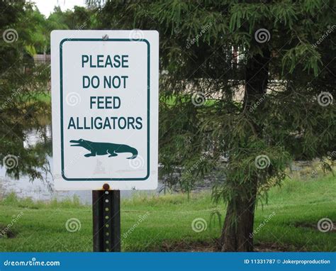 Do Not Feed Alligators Royalty Free Stock Photography Image 11331787