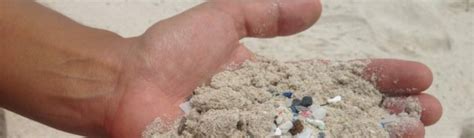 The Perils Of Plastic Part 2 Reducing Plastic Waste Galapagos