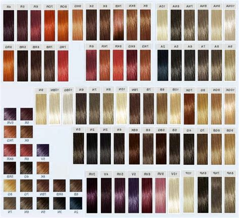 Goldwell Color Chart Hair Color Swatches Salon Hair Color Chart