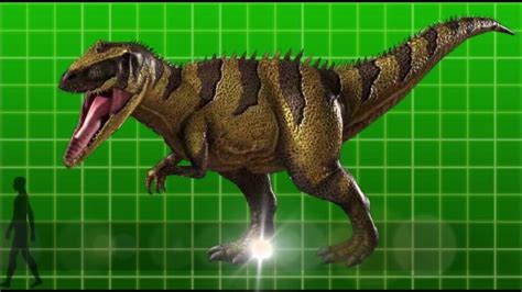 Dinosaur king battle cards is a card game made by justimagine. Dinosaur King All Dinosaur Cards (Updated) - YouTube