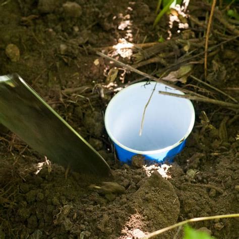 Step By Step Guide On How To Make A Pitfall Trap With Kids