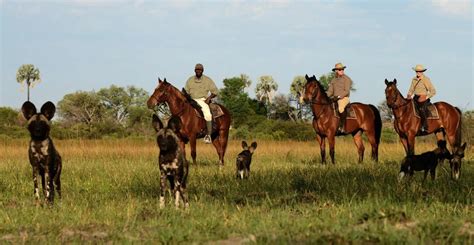 Horseback Safari In Botswana Ker And Downey® Africa