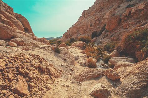 Hiking Path In The Nature Reserve Ein Gedi Israel Oasis In The Desert