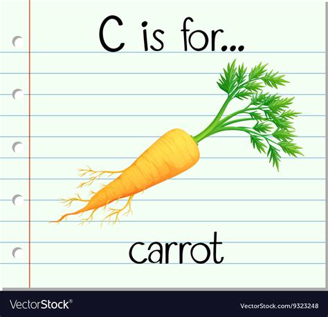 Flashcard Letter C Is For Carrot Royalty Free Vector Image