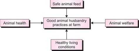 Top 109 How Do Good Animal Husbandry