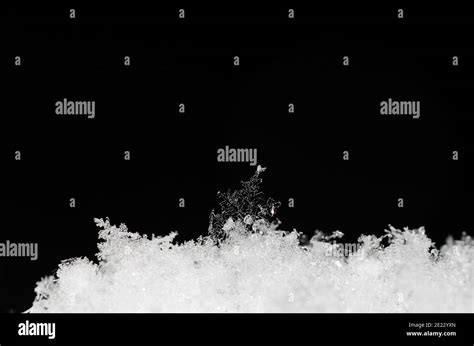 Big Beautiful Hidden Snow Crystal Stock Photo Alamy