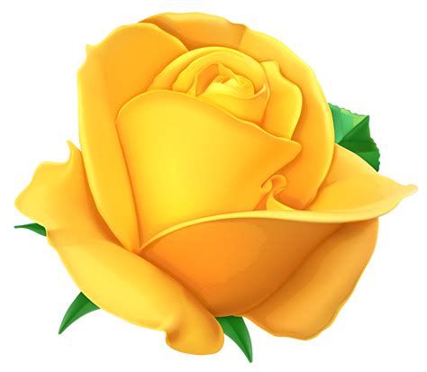 Yellow Roses Clipart Yellow Rose Border Clipart Png D Vrogue Co
