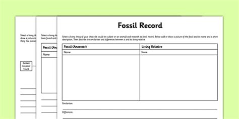 Differentiated Fossil Record Activity Template Twinkl