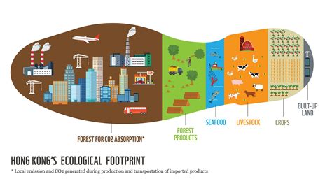 Ecological Footprint Wallpapers - Wallpaper Cave