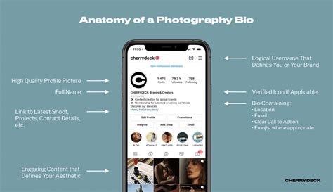 Instagram Bio Explained Ideas For Photography Pages Cherrydeck