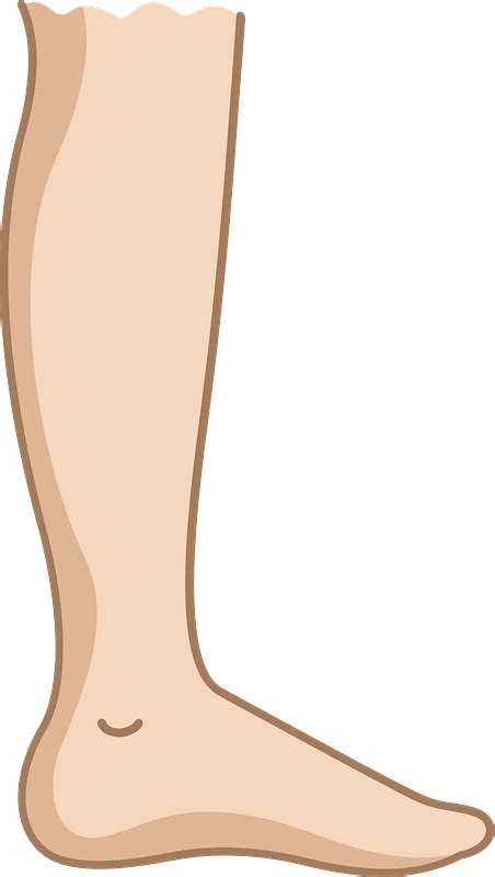 Free Leg Cliparts Download Free Leg Cliparts Png Images Free Cliparts Images And Photos Finder