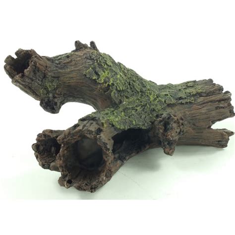 A general rule of thumb is that the roots spread as far under the. Aquarium 22cm Tree Stump Log Hide Ornament