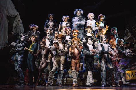 Jellicle Songs For Jellicle Cats Cats Musical Wiki Fandom