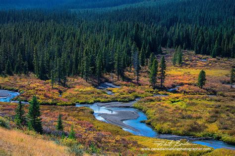 Kananaskis Provincial Park Photography The Canadian Nature Photographer