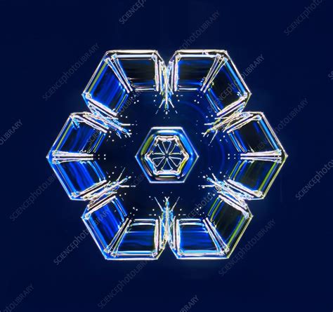 Snowflake Light Micrograph Stock Image C0232428 Science Photo