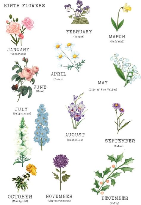 Rochelle Wallace Birth Flowers For The Months Flower Of The Month