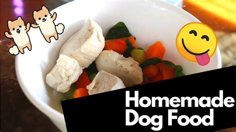 Raw dog food on the market! How to make homemade dog food for puppies | cute ...