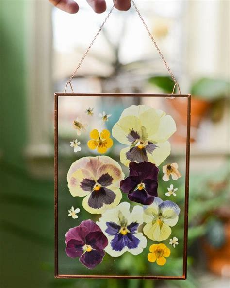 Buy at cheap rates in bulk online all natural essential oils including peppermint, lavender, tea tree, and many more for soap making and aromatherapy How to Make Pressed Flower Frames - Craft projects for ...