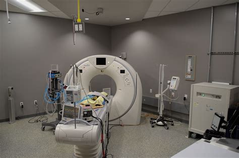 VCA Central Victoria Veterinary Hospital – Victoria – Willow Spring