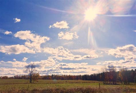 The Sun Shining Through A Tree In The Late Fall Stock Image Image Of