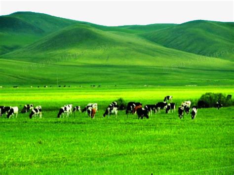内蒙古呼伦贝尔草原风景图png图片素材下载内蒙古png熊猫办公