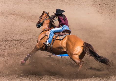 11 Main Types Of Western Riding Video Examples