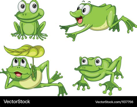 Green Frogs Royalty Free Vector Image Vectorstock