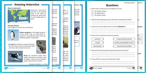 Year 2 Amazing Antarctica Differentiated Reading Comprehension Worksheet