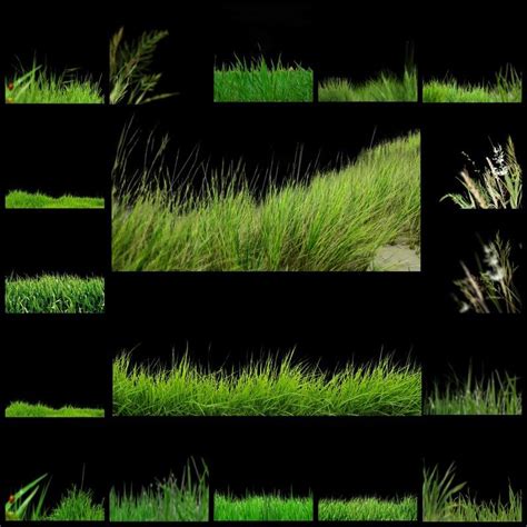 30 Grass And Flower Overlays For Photoshop Green Grass Etsy Sky