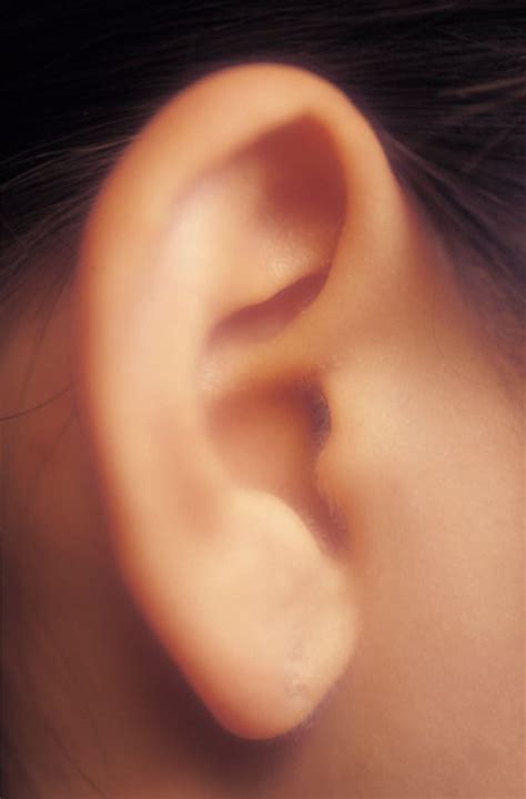 Itchy Inner Ears And Food Allergies