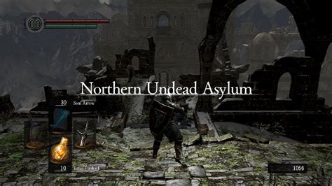 Guide For Dark Souls Undead Asylum To Undead Burg