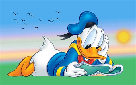 Donald Duck Cartoon Reading Book Desktop Hd Wallpaper For