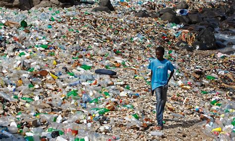 Un Millón De Botellas Por Minuto En El Mundo El Impacto Ambiental Del