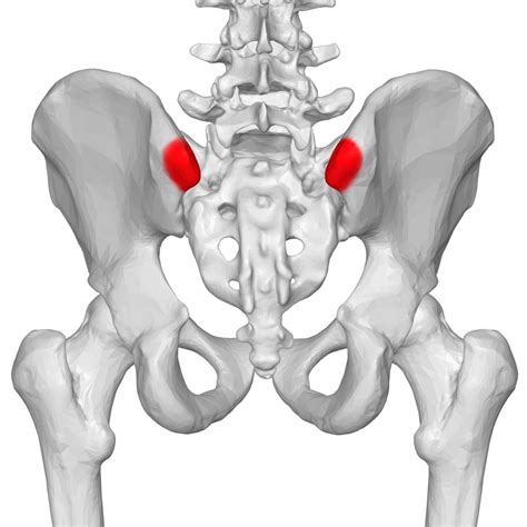 Sacroiliac Joint Dysfunction Spine Orthobullets