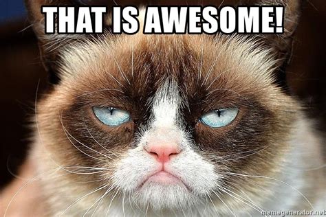 Instead of a meme generator app, you can use kapwing on your phone and computer to create memes from anywhere. That is awesome! - Grumpy cat domination | Meme Generator