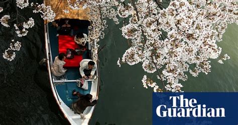 Cherry Blossom Season Around The World In Pictures World News The