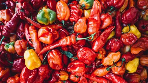 5 Things You Need To Know About Hot Peppers Nerdy Chefs