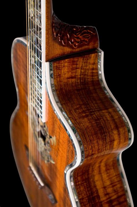 43 Best Exotic Wood Guitars Images On Pinterest Guitars