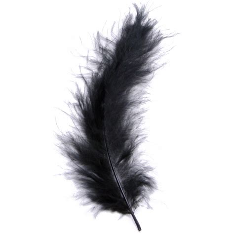 2g Craft Feathers: Black [] - MardiGrasOutlet.com