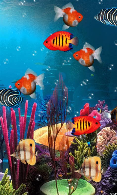 Moving Fish Wallpapers 