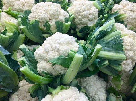 How To Grow Cauliflower From Seed To Harvest A Complete Guide For